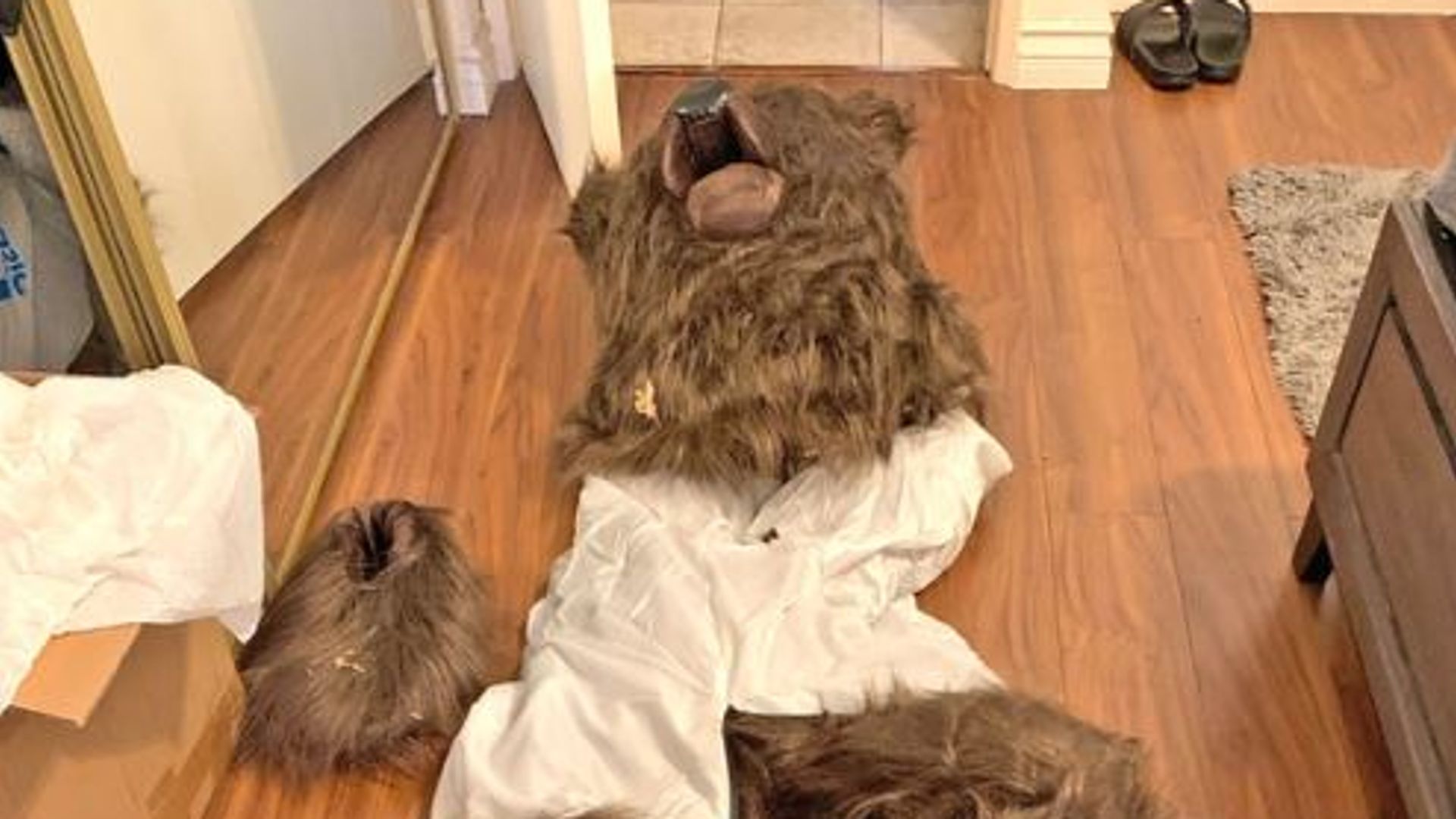 Trio sentenced over ‘bear costume’ insurance fraud scam