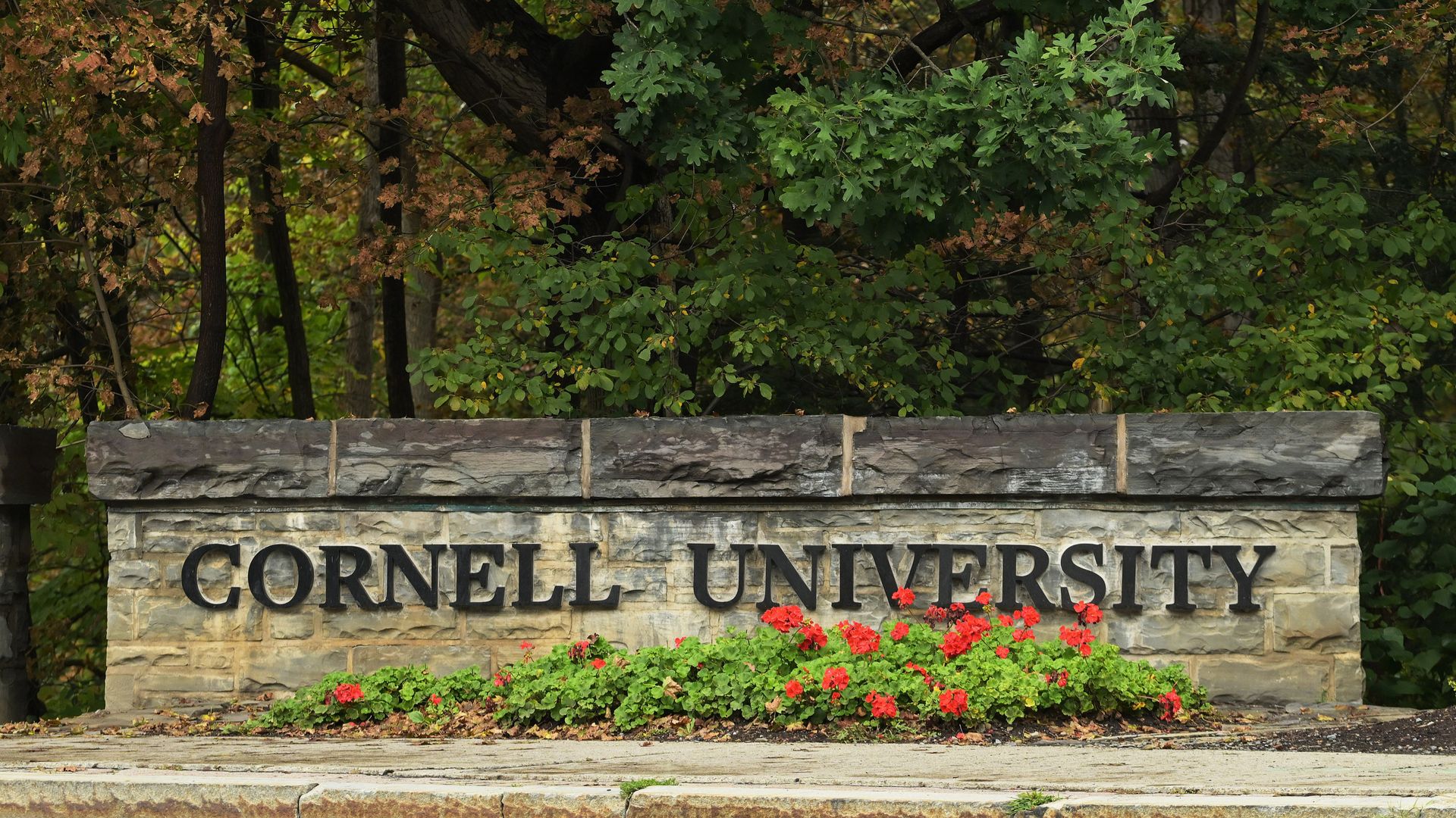 Woman at centre of Cornell rape allegations has been threatened, lawyer says
